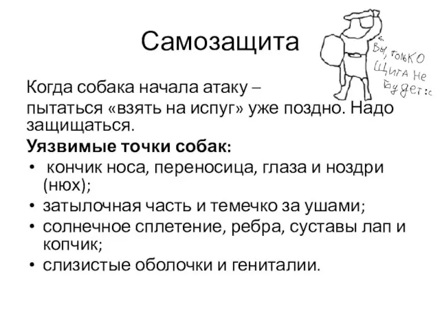 Самозащита Когда собака начала атаку – пытаться «взять на испуг» уже