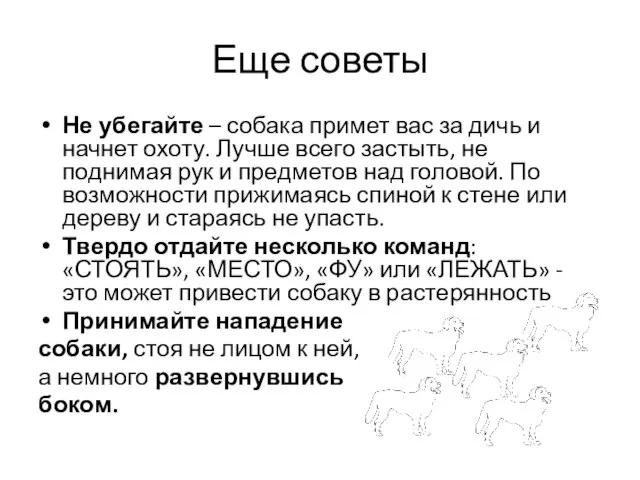 Еще советы Не убегайте – собака примет вас за дичь и