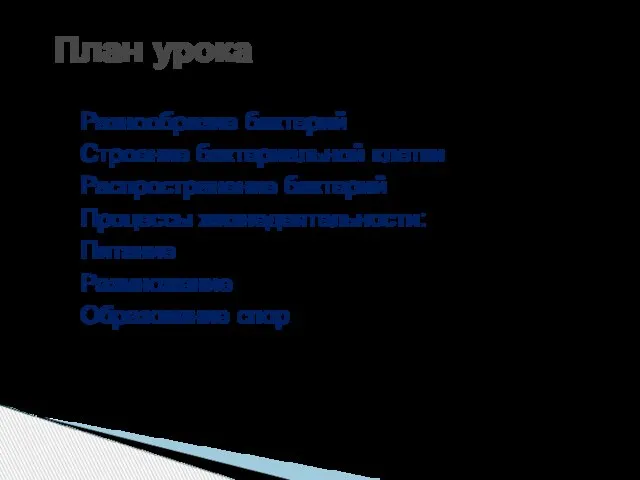 Разнообразие бактерий Строение бактериальной клетки Распространение бактерий Процессы жизнедеятельности: Питание Размножение Образование спор План урока