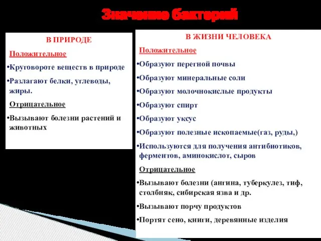 В ПРИРОДЕ Положительное Круговороте веществ в природе Разлагают белки, углеводы, жиры.