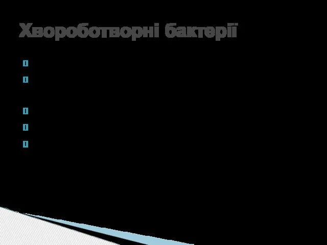 Хвороботворні бактерії Викликають хвороби рослин, тварин, людини Пристосувались до життя в