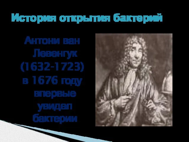 Антони ван Левенгук (1632-1723) в 1676 году впервые увидел бактерии История открытия бактерий