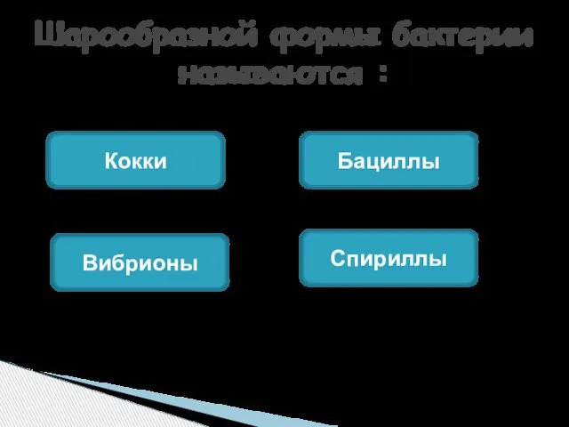 Шарообразной формы бактерии называются : Кокки Бациллы Вибрионы Спириллы