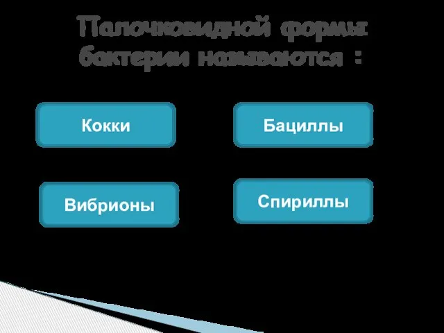 Палочковидной формы бактерии называются : Кокки Бациллы Вибрионы Спириллы