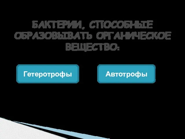 БАКТЕРИИ, СПОСОБНЫЕ ОБРАЗОВЫВАТЬ ОРГАНИЧЕСКОЕ ВЕЩЕСТВО: Гетеротрофы Автотрофы