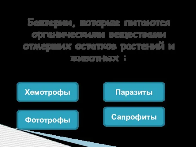 Бактерии, которые питаются органическими веществами отмерших остатков растений и животных : Сапрофиты Паразиты Фототрофы Хемотрофы