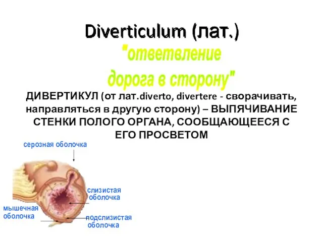 Diverticulum (лат.) "ответвление дорога в сторону" ДИВЕРТИКУЛ (от лат.diverto, divertere -