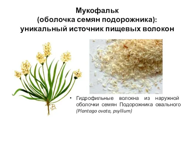 Гидрофильные волокна из наружной оболочки семян Подорожника овального (Plantago ovata, psyllium)