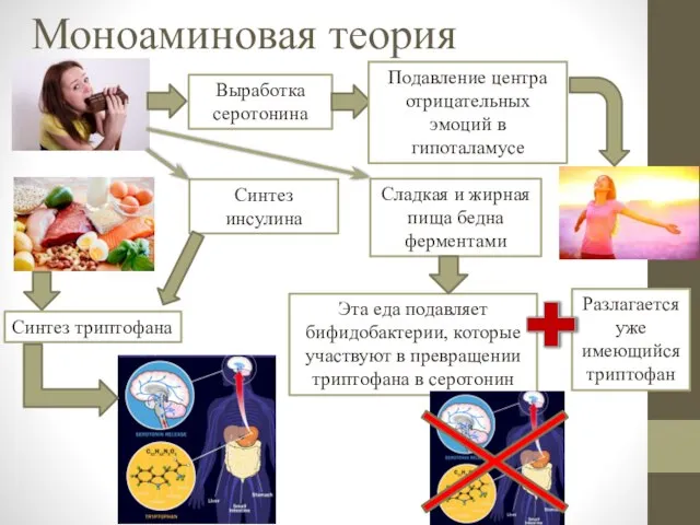 Моноаминовая теория