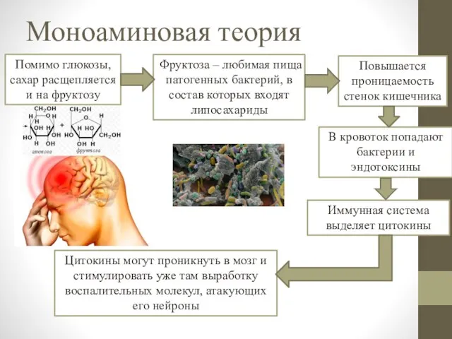 Моноаминовая теория