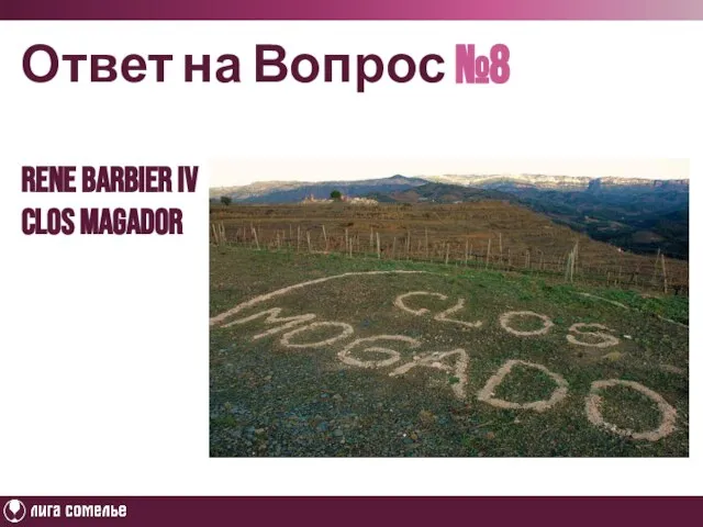 Ответ на Вопрос №8 Rene barbier iV Clos magador