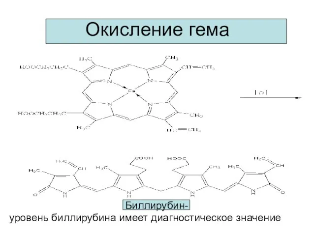 Окисление гема Биллирубин- уровень биллирубина имеет диагностическое значение