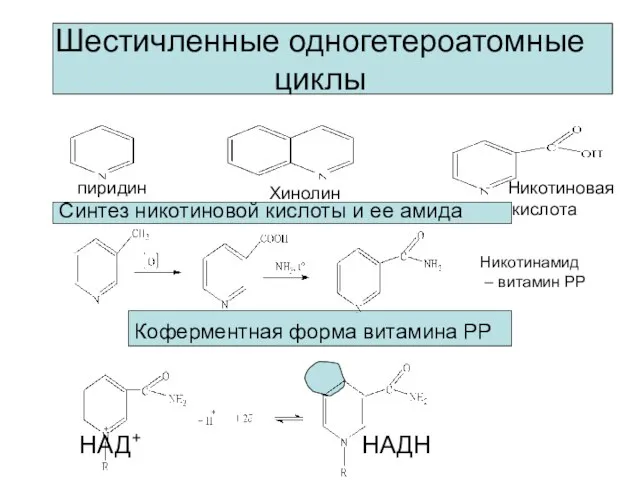 Шестичленные одногетероатомные циклы Синтез никотиновой кислоты и ее амида Коферментная форма