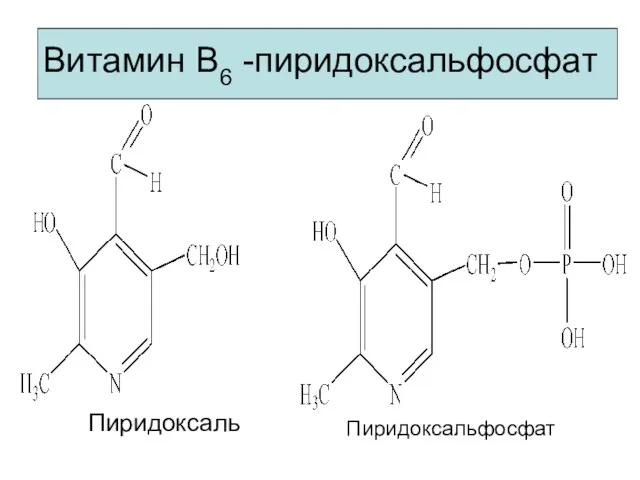 Витамин В6 -пиридоксальфосфат Пиридоксаль Пиридоксальфосфат