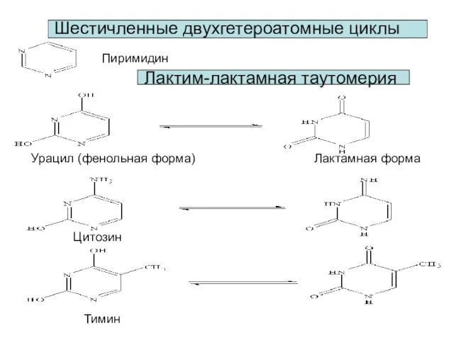 Шестичленные двухгетероатомные циклы Пиримидин Лактим-лактамная таутомерия Урацил (фенольная форма) Лактамная форма Цитозин Тимин