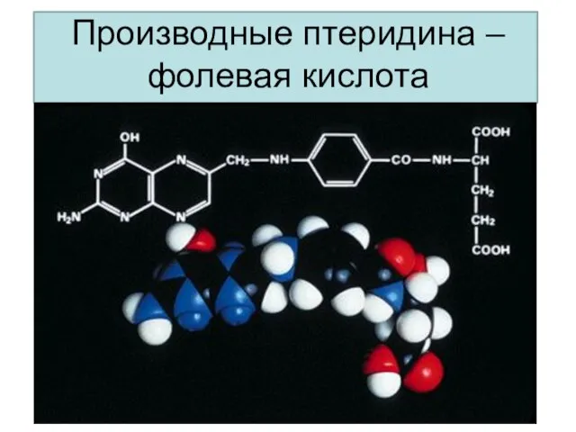 Производные птеридина –фолевая кислота