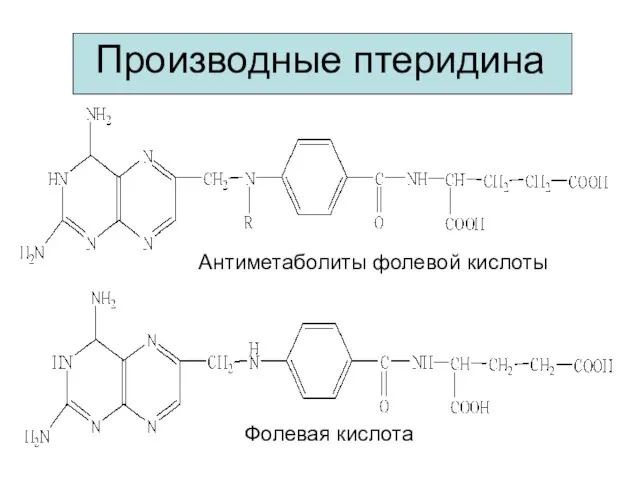 Производные птеридина Фолевая кислота Антиметаболиты фолевой кислоты