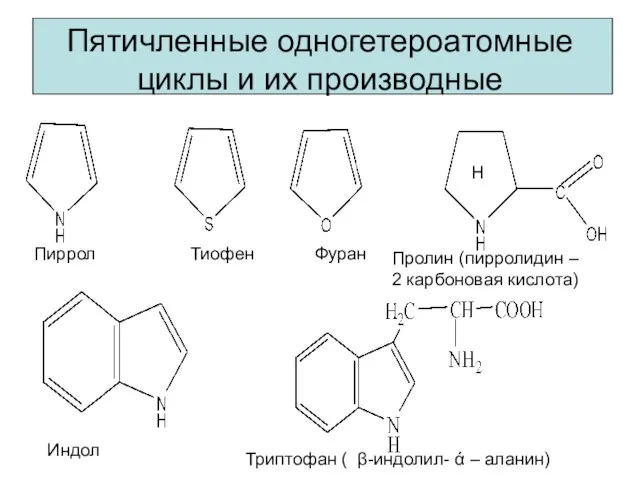 Пятичленные одногетероатомные циклы и их производные Пиррол Тиофен Фуран Пролин (пирролидин