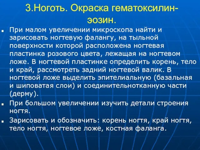 3.Ноготь. Окраска гематоксилин-эозин. При малом увеличении микроскопа найти и зарисовать ногтевую