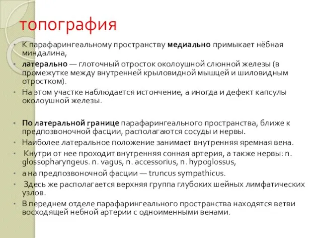 топография К парафарингеальному пространству медиально примыкает нёбная миндалина, латерально — глоточный