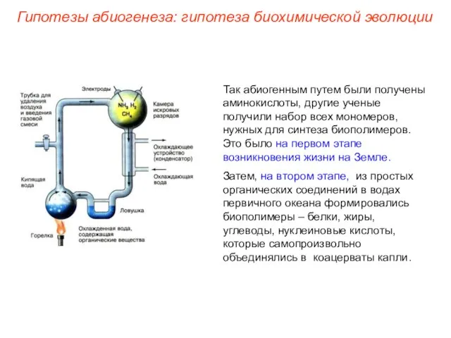 Так абиогенным путем были получены аминокислоты, другие ученые получили набор всех