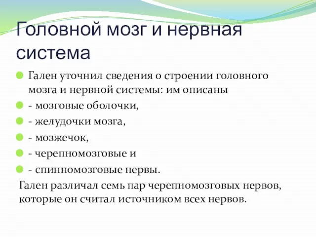 Головной мозг и нервная система Гален уточнил сведения о строении головного