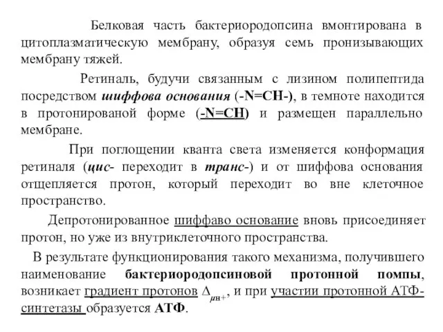 Белковая часть бактериородопсина вмонтирована в цитоплазматическую мембрану, образуя семь пронизывающих мембрану