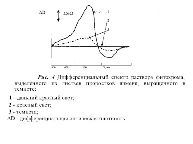 Рис. 4 Дифференциальный спектр раствора фитохрома, выделенного из листьев проростков ячменя,