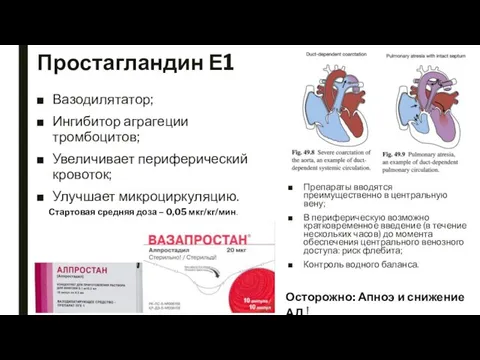 Простагландин Е1 Вазодилятатор; Ингибитор аграгеции тромбоцитов; Увеличивает периферический кровоток; Улучшает микроциркуляцию.