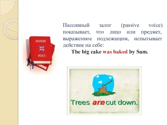 Пассивный залог (passive voice) показывает, что лицо или предмет, выраженное подлежащим,