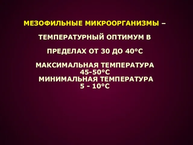 МЕЗОФИЛЬНЫЕ МИКРООРГАНИЗМЫ – ТЕМПЕРАТУРНЫЙ ОПТИМУМ В ПРЕДЕЛАХ ОТ 30 ДО 40°С