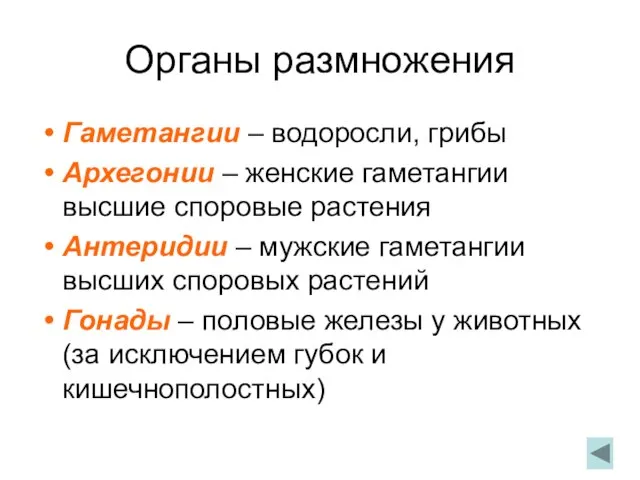 Органы размножения Гаметангии – водоросли, грибы Архегонии – женские гаметангии высшие