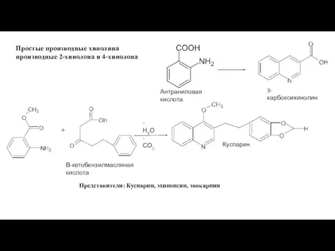 Куспарин Простые производные хинолина производные 2-хинолона и 4-хинолона 3-карбоксихинолин Антраниловая кислота