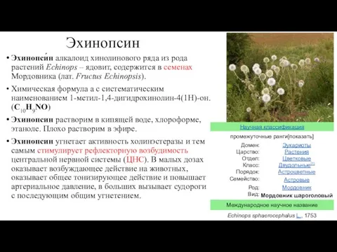 Эхинопсин Эхинопси́н алкалоид хинолинового ряда из рода растений Echinops – ядовит,