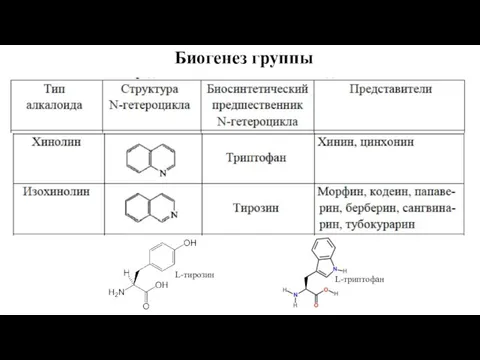 Биогенез группы L-тирозин L-триптофан