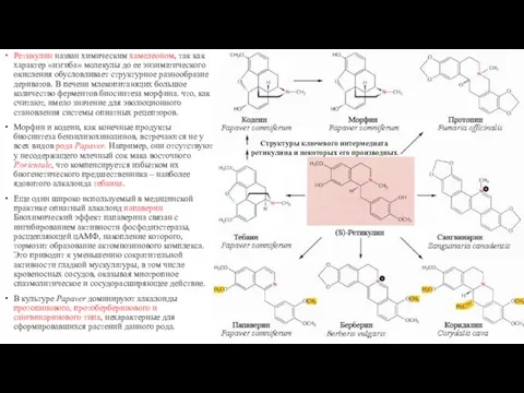 Ретикулин назван химическим хамелеоном, так как характер «изгиба» молекулы до ее