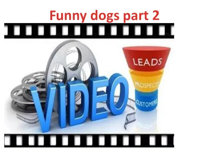 Funny dogs part 2