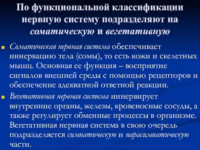 По функциональной классификации нервную систему подразделяют на соматическую и вегетативную Соматическая