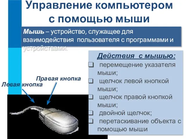 Управление компьютером с помощью мыши Мышь – устройство, служащее для взаимодействия