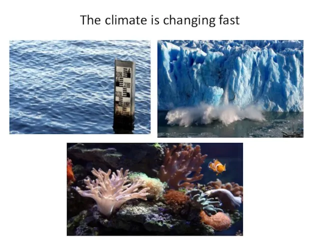 The climate is changing fast