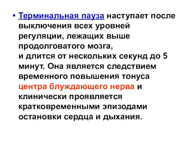 Терминальная пауза наступает после выключения всех уровней регуляции, лежащих выше продолговатого