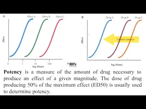 Potency is a measure of the amount of drug necessary to