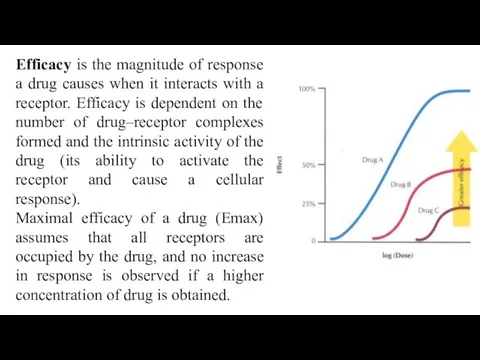 Efficacy is the magnitude of response a drug causes when it