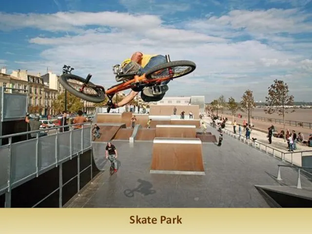 Skate Park