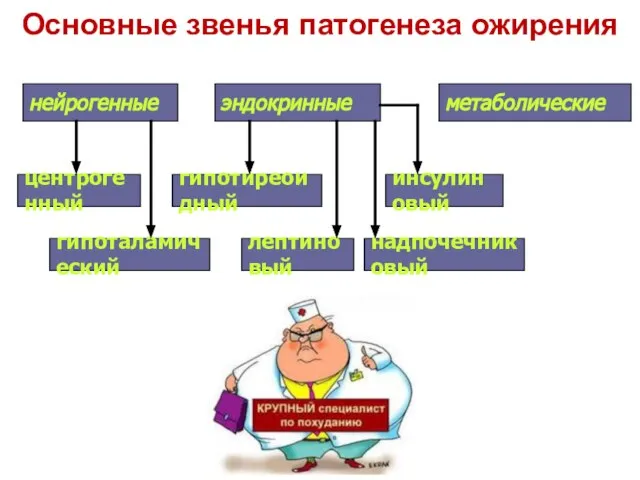 Основные звенья патогенеза ожирения