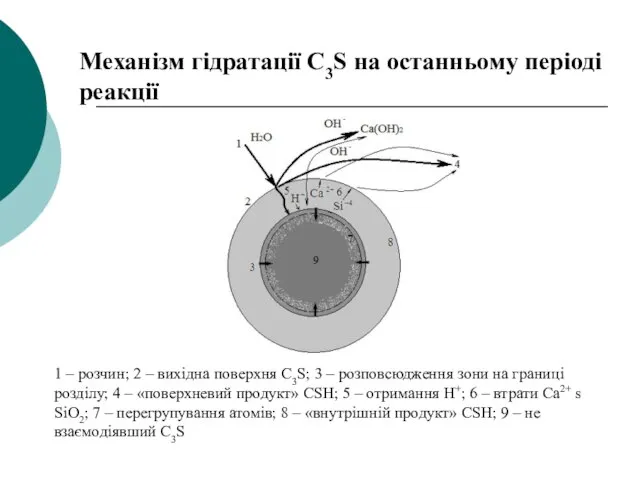 1 – розчин; 2 – вихідна поверхня C3S; 3 – розповсюдження