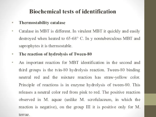 Biochemical tests of identification Thermostability catalase Catalase in MBT is different.