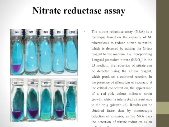 Nitrate reductase assay The nitrate reductase assay (NRA) is a technique