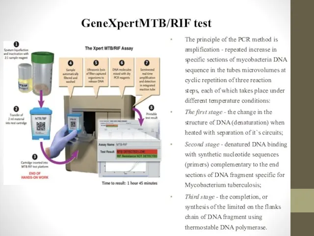 GeneXpertMTB/RIF test The principle of the PCR method is amplification -