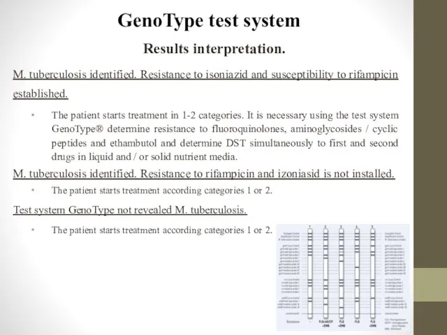 GenoType test system Results interpretation. M. tuberculosis identified. Resistance to isoniazid